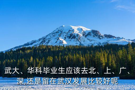 武大、華科畢業(yè)生應該去北、上、廣、深,還是留在武漢發(fā)展比較好呢