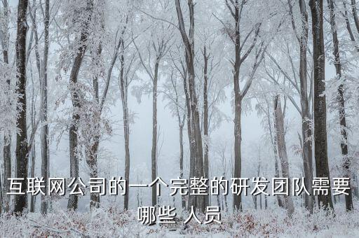 互聯(lián)網公司的一個完整的研發(fā)團隊需要哪些 人員