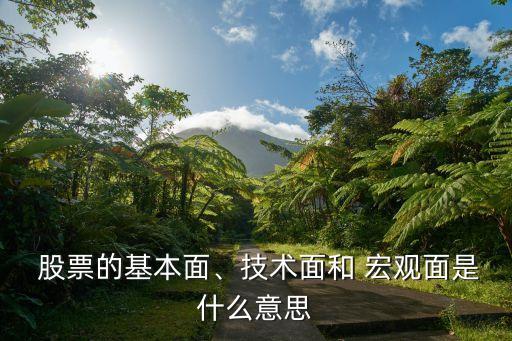  股票的基本面、技術面和 宏觀面是什么意思