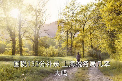 上海國稅升級(jí),國稅平臺(tái)升級(jí)最新消息