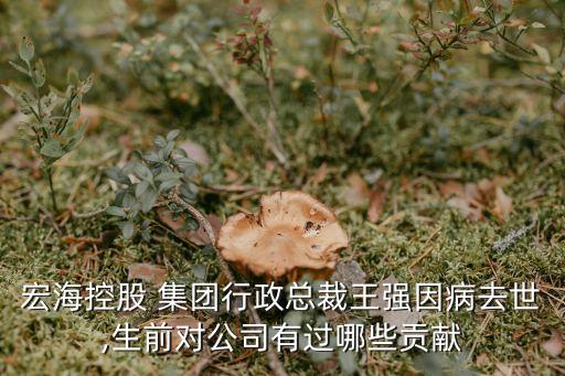 宏?？毓?集團(tuán)行政總裁王強(qiáng)因病去世,生前對(duì)公司有過(guò)哪些貢獻(xiàn)