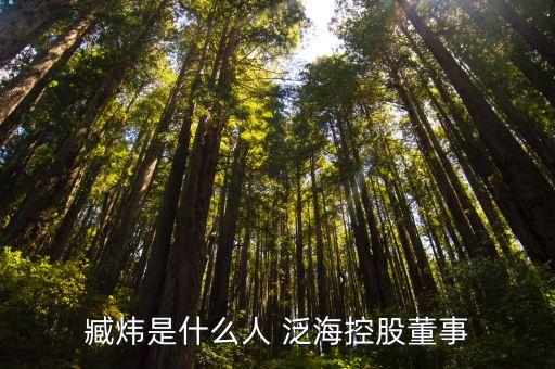 臧煒是什么人 泛?？毓啥? class=