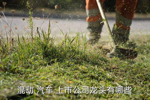 新能源汽車(chē)電機(jī)系統(tǒng)上市公司