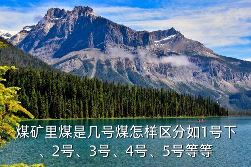  煤礦里煤是幾號(hào)煤怎樣區(qū)分如1號(hào)下、2號(hào)、3號(hào)、4號(hào)、5號(hào)等等