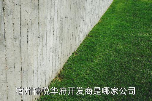 宿州禧悅?cè)A府開(kāi)發(fā)商是哪家公司