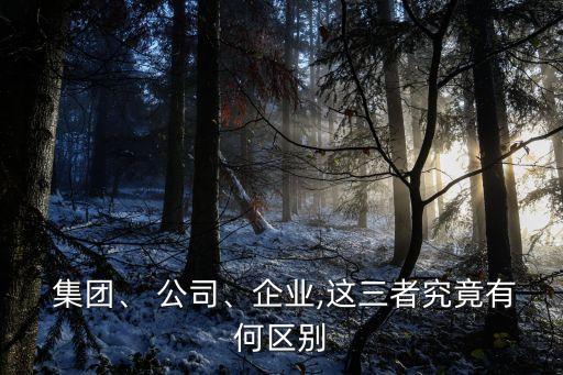  集團、 公司、企業(yè),這三者究竟有何區(qū)別