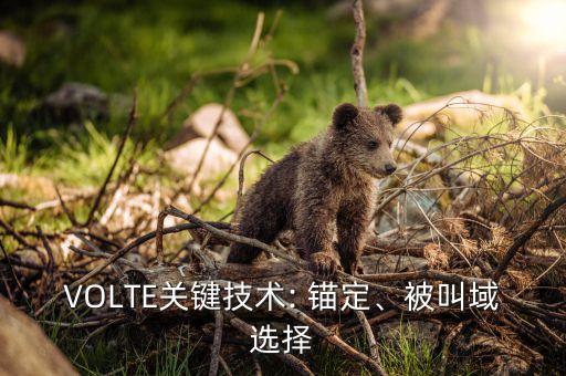 VOLTE關(guān)鍵技術(shù): 錨定、被叫域選擇