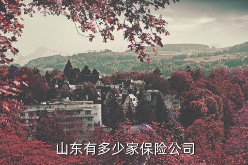 ?？等藟凵綎|分公司,天安人壽山東分公司