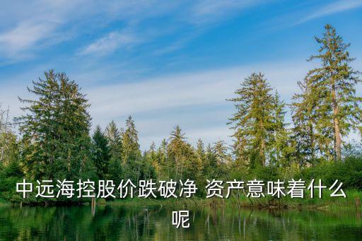 中遠(yuǎn)?？毓蓛r(jià)跌破凈 資產(chǎn)意味著什么呢