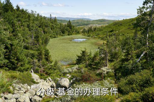  分級 基金的辦理?xiàng)l件