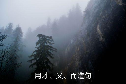 用才、又、而造句