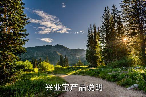 興業(yè)銀行興業(yè)寶如何購買,從興業(yè)銀行被轉到興業(yè)數金