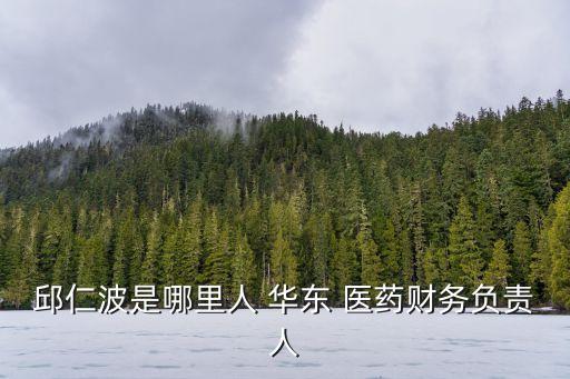 邱仁波是哪里人 華東 醫(yī)藥財務(wù)負責(zé)人