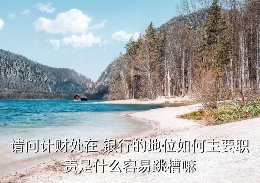 請問計(jì)財(cái)處在 銀行的地位如何主要職責(zé)是什么容易跳槽嘛