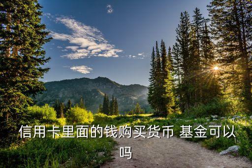  信用卡里面的錢(qián)購(gòu)買(mǎi)貨幣 基金可以嗎