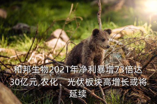和邦生物2021年凈利暴增73倍達(dá)30億元,農(nóng)化、光伏板塊高增長(zhǎng)或?qū)⒀永m(xù)