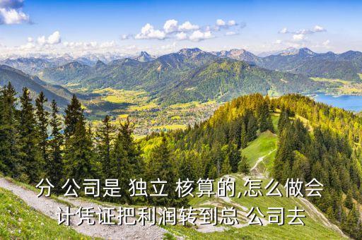 分 公司是 獨(dú)立 核算的,怎么做會計(jì)憑證把利潤轉(zhuǎn)到總 公司去
