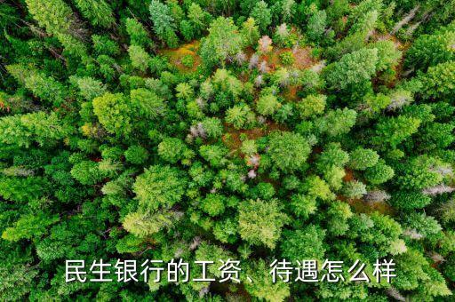  民生銀行的工資、待遇怎么樣