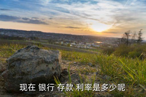 現在 銀行 存款 利率是多少呢