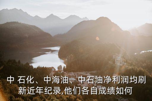 中 石化、中海油、中石油凈利潤均刷新近年紀(jì)錄,他們各自成績?nèi)绾? class=