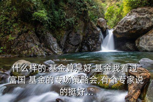 什么樣的 基金算是好 基金我看過(guò) 富國(guó) 基金的專(zhuān)場(chǎng)策略會(huì),有個(gè)專(zhuān)家說(shuō)的挺好...
