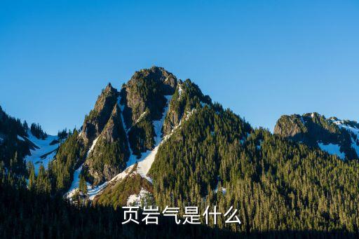 中國(guó)頁(yè)巖氣資源組成,我國(guó)頁(yè)巖氣資源和開發(fā)現(xiàn)狀