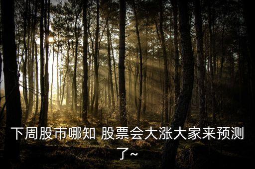 下周股市哪知 股票會(huì)大漲大家來預(yù)測(cè)了~
