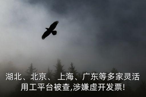 湖北、北京、 上海、廣東等多家靈活用工平臺被查,涉嫌虛開發(fā)票!