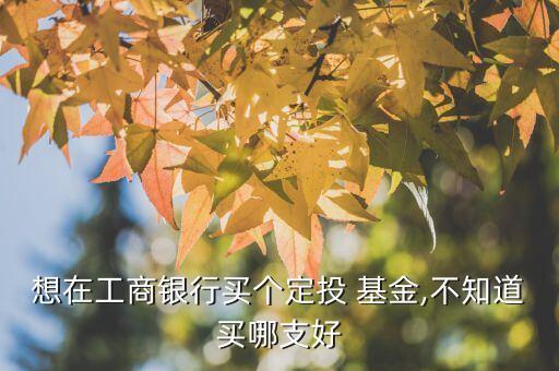 想在工商銀行買(mǎi)個(gè)定投 基金,不知道買(mǎi)哪支好