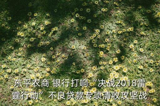 東平農(nóng)商 銀行打響“決戰(zhàn)2018雷霆行動”不良貸款專項(xiàng)清收攻堅(jiān)戰(zhàn)