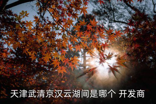 湖北金漢房地產開發(fā)有限公司,金漢(天津)房地產開發(fā)有限公司