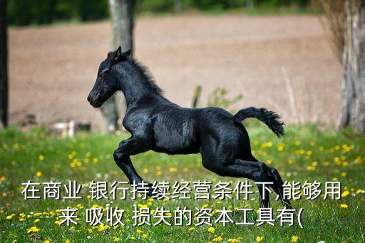 在商業(yè) 銀行持續(xù)經營條件下,能夠用來 吸收 損失的資本工具有(