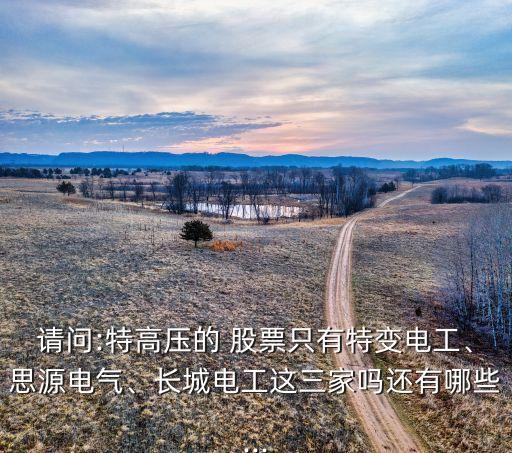 請(qǐng)問(wèn):特高壓的 股票只有特變電工、思源電氣、長(zhǎng)城電工這三家嗎還有哪些...