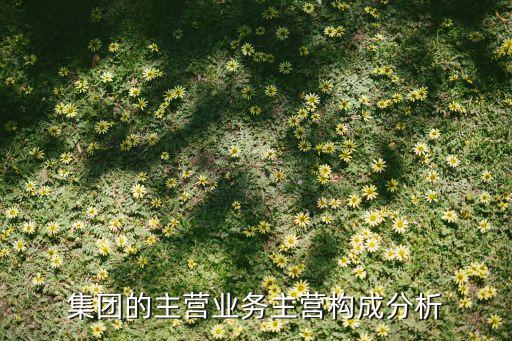 暴風集團的主營業(yè)務(wù)主營構(gòu)成分析