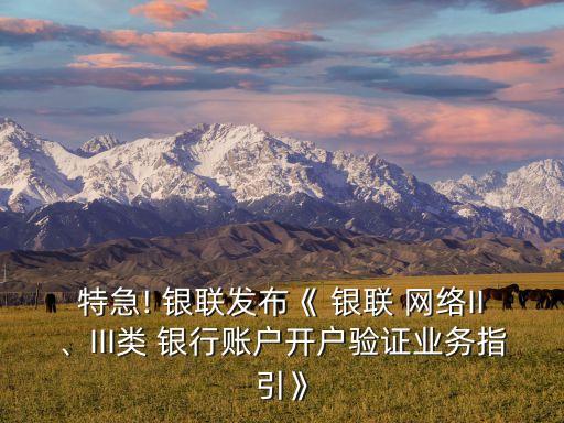 特急! 銀聯(lián)發(fā)布《 銀聯(lián) 網(wǎng)絡(luò)II、III類 銀行賬戶開戶驗證業(yè)務(wù)指引》
