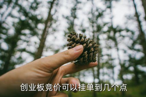  創(chuàng)業(yè)板競價可以掛單到幾個點(diǎn)