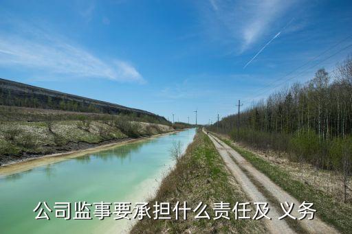公司高級(jí)管理人員勤勉盡責(zé)義務(wù),董事、高級(jí)管理人員勤勉義務(wù)