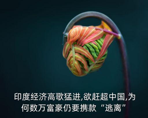  印度經濟高歌猛進,欲趕超中國,為何數萬富豪仍要攜款“逃離”