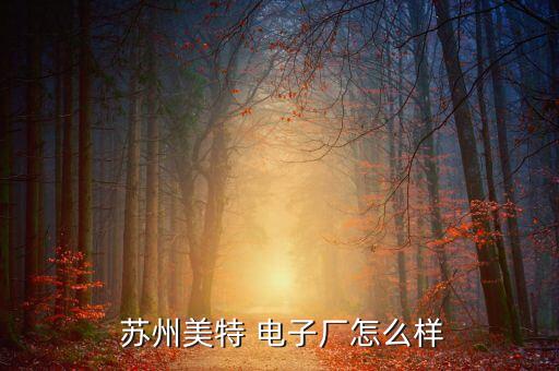  蘇州美特 電子廠(chǎng)怎么樣
