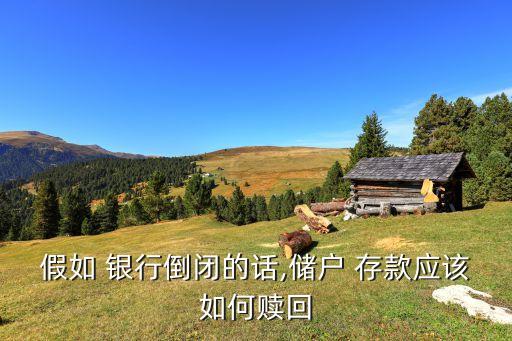 假如 銀行倒閉的話(huà),儲(chǔ)戶(hù) 存款應(yīng)該如何贖回