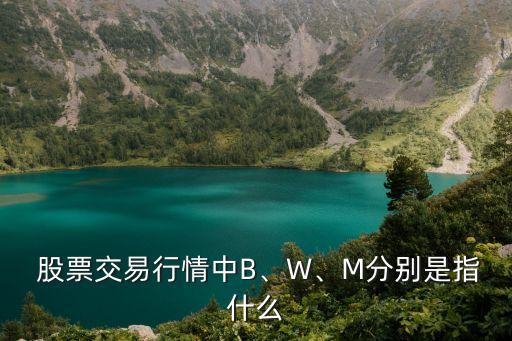  股票交易行情中B、W、M分別是指什么