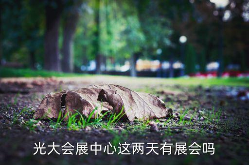 中國上海國際婚紗攝影器材展覽會,上?；榧啍z影器材展2023時間