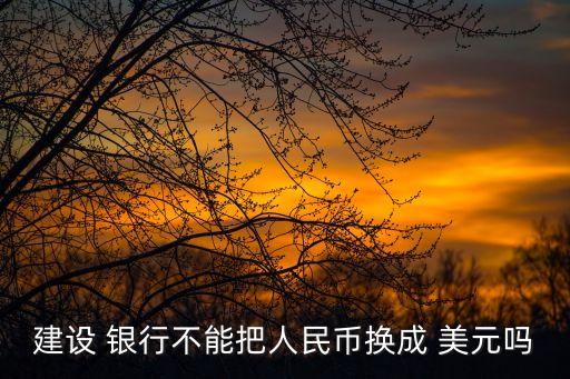 建設 銀行不能把人民幣換成 美元嗎