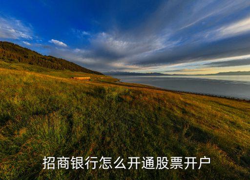  招商銀行怎么開(kāi)通股票開(kāi)戶