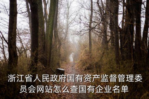  浙江省人民政府國有資產監(jiān)督管理委員會網站怎么查國有企業(yè)名單