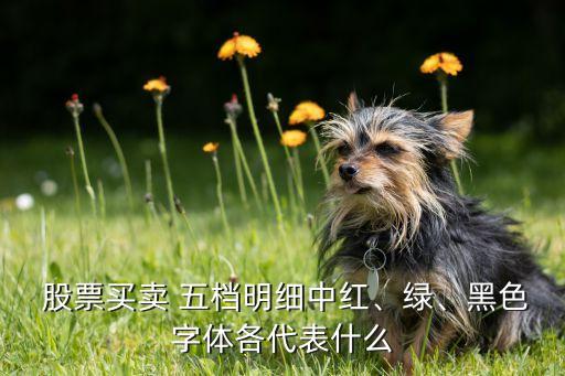  股票買賣 五檔明細(xì)中紅、綠、黑色字體各代表什么