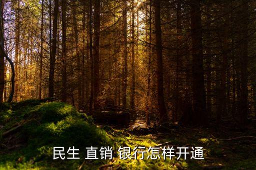 民生 直銷(xiāo) 銀行怎樣開(kāi)通