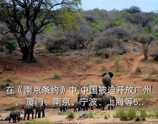 在《南京條約》中,中國(guó)被迫開放廣州、 廈門、南京、寧波、上海等5...