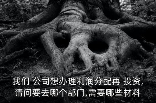 我們 公司想辦理利潤分配再 投資,請(qǐng)問要去哪個(gè)部門,需要哪些材料