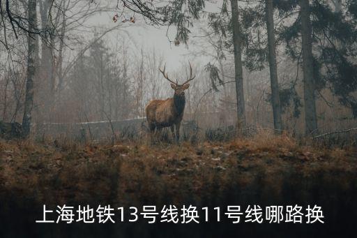  上海地鐵13號(hào)線(xiàn)換11號(hào)線(xiàn)哪路換